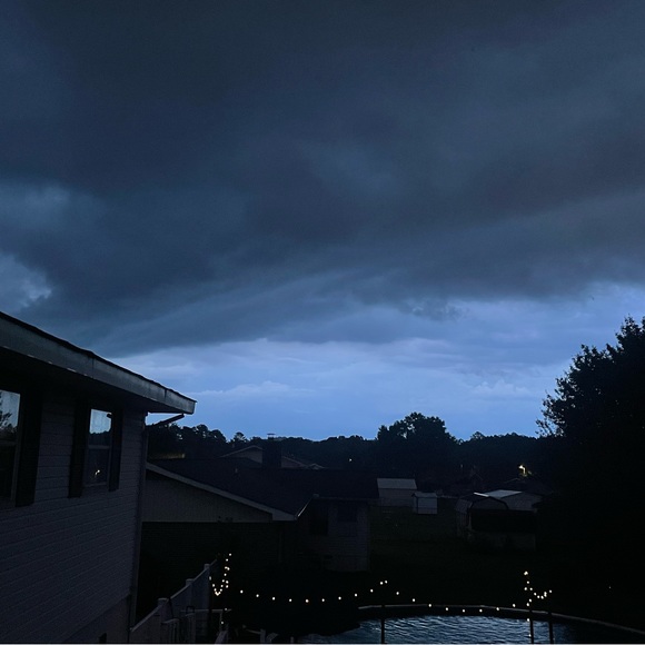 Meet your Posher, Paulie - Picture 1 of 1